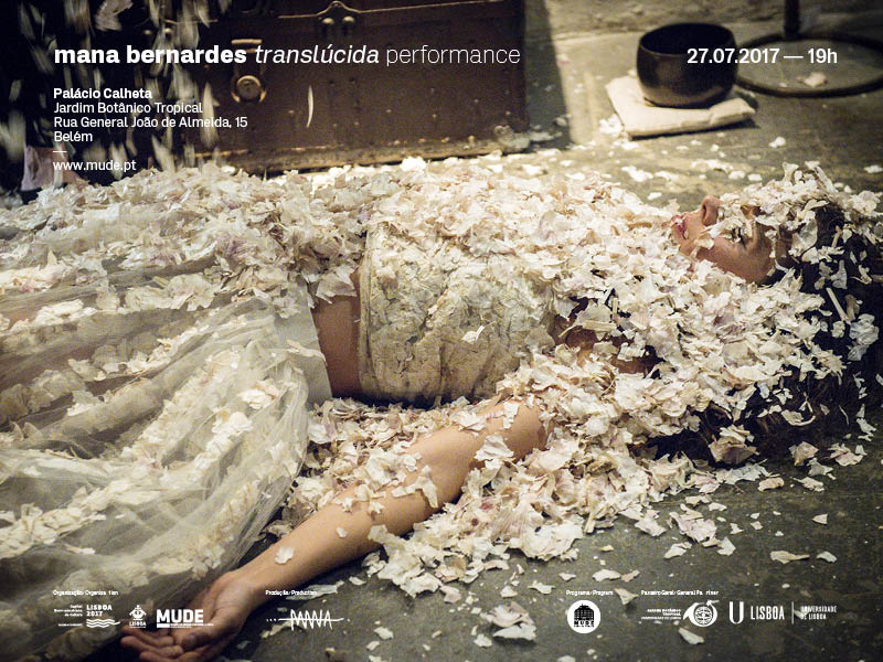 Performance "Translúcida"